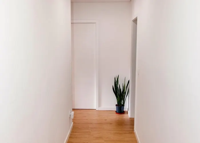 Cozy Downtown Ponte da Barca